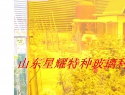 彩色夾膠玻璃