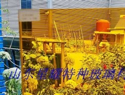 彩色夾膠玻璃