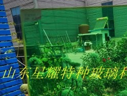 彩色夾膠玻璃