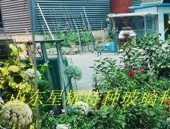 彩色夾膠玻璃