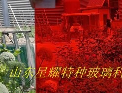 彩色夾膠玻璃